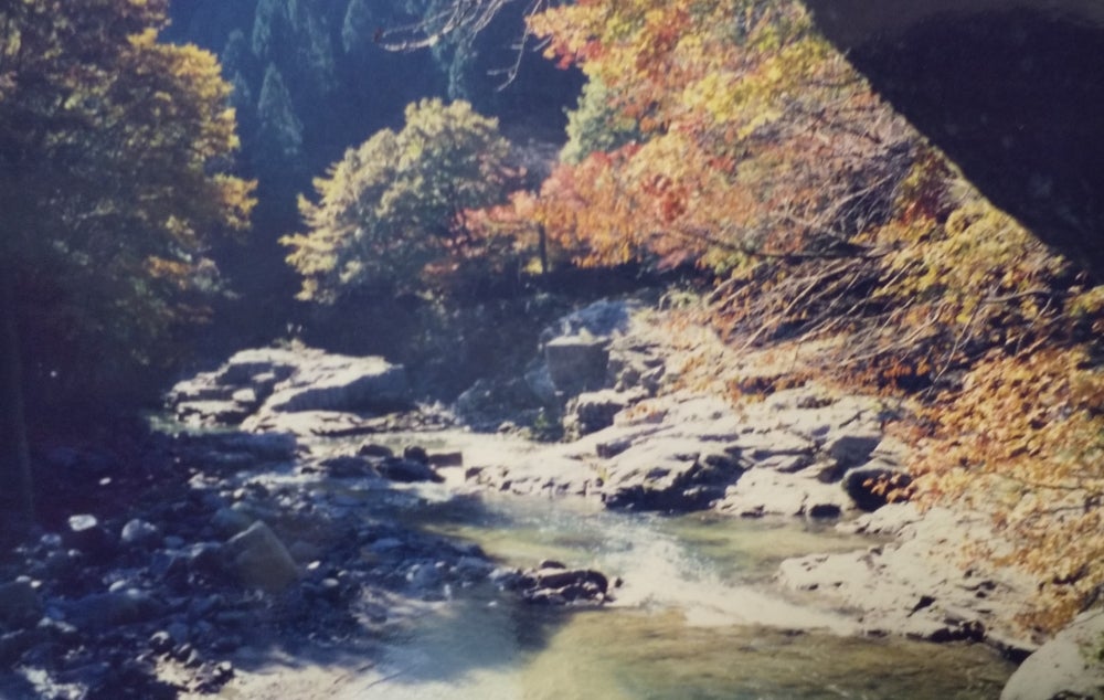 奥津渓の紅葉_2枚目