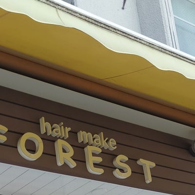 hair make FOREST_1枚目
