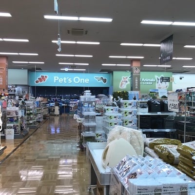2021/07/09にハーモニーアロマ つくば店が投稿した、ワンラブカインズ本庄早稲田店の店内の様子の写真
