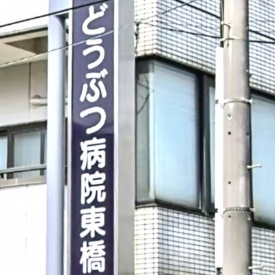 2022/02/07にabwoo510が投稿した、どうぶつ病院東橋本のその他の写真