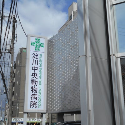 2022/02/19にりゅうが投稿した、淀川中央動物病院の外観の写真