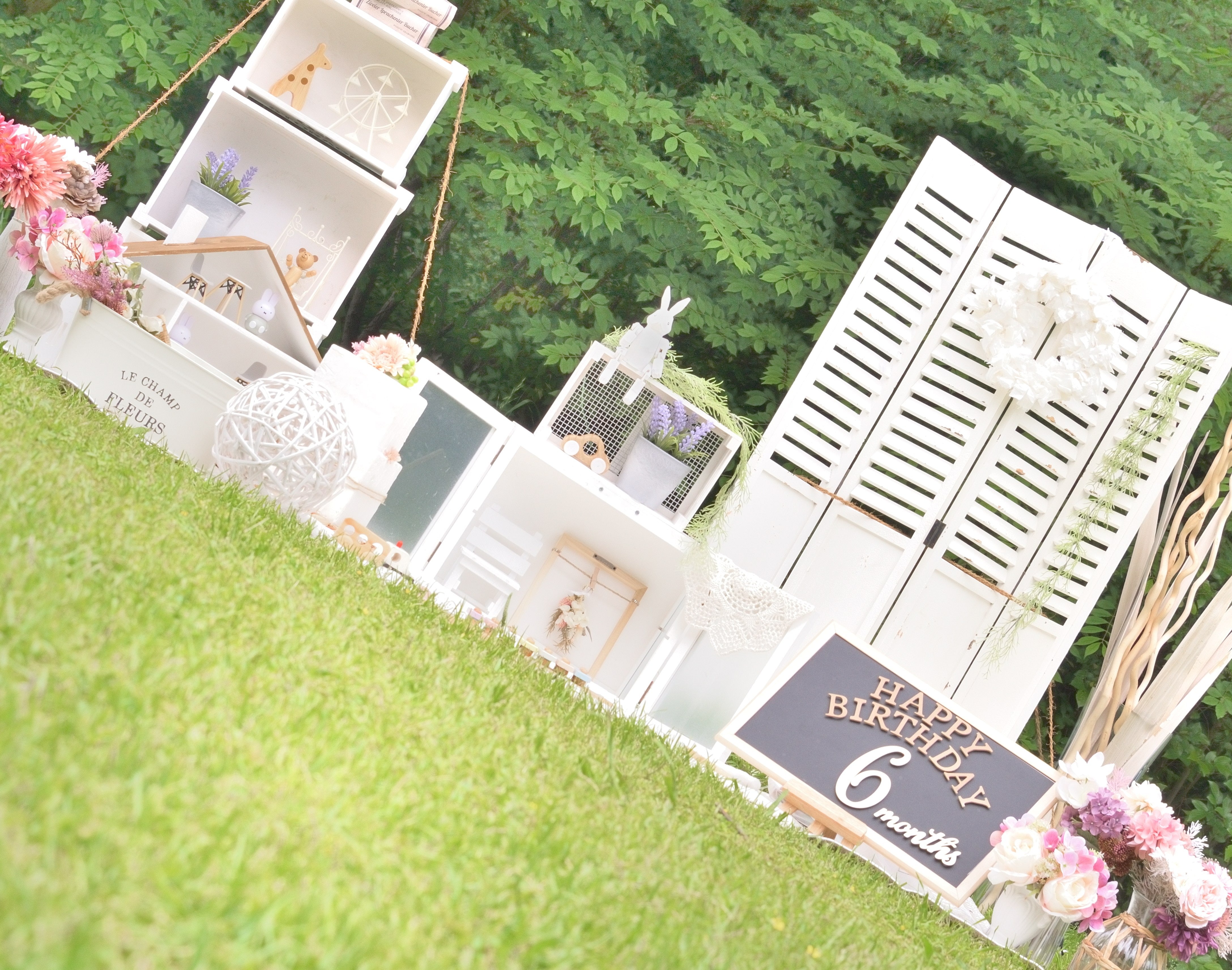 tachiaoi photo_1枚目
