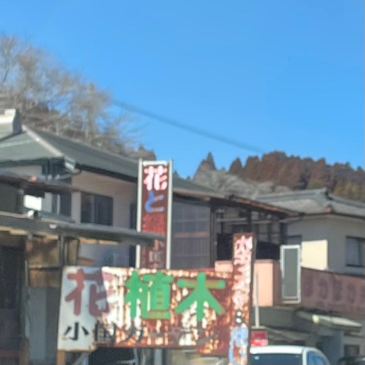 小国ガーデン