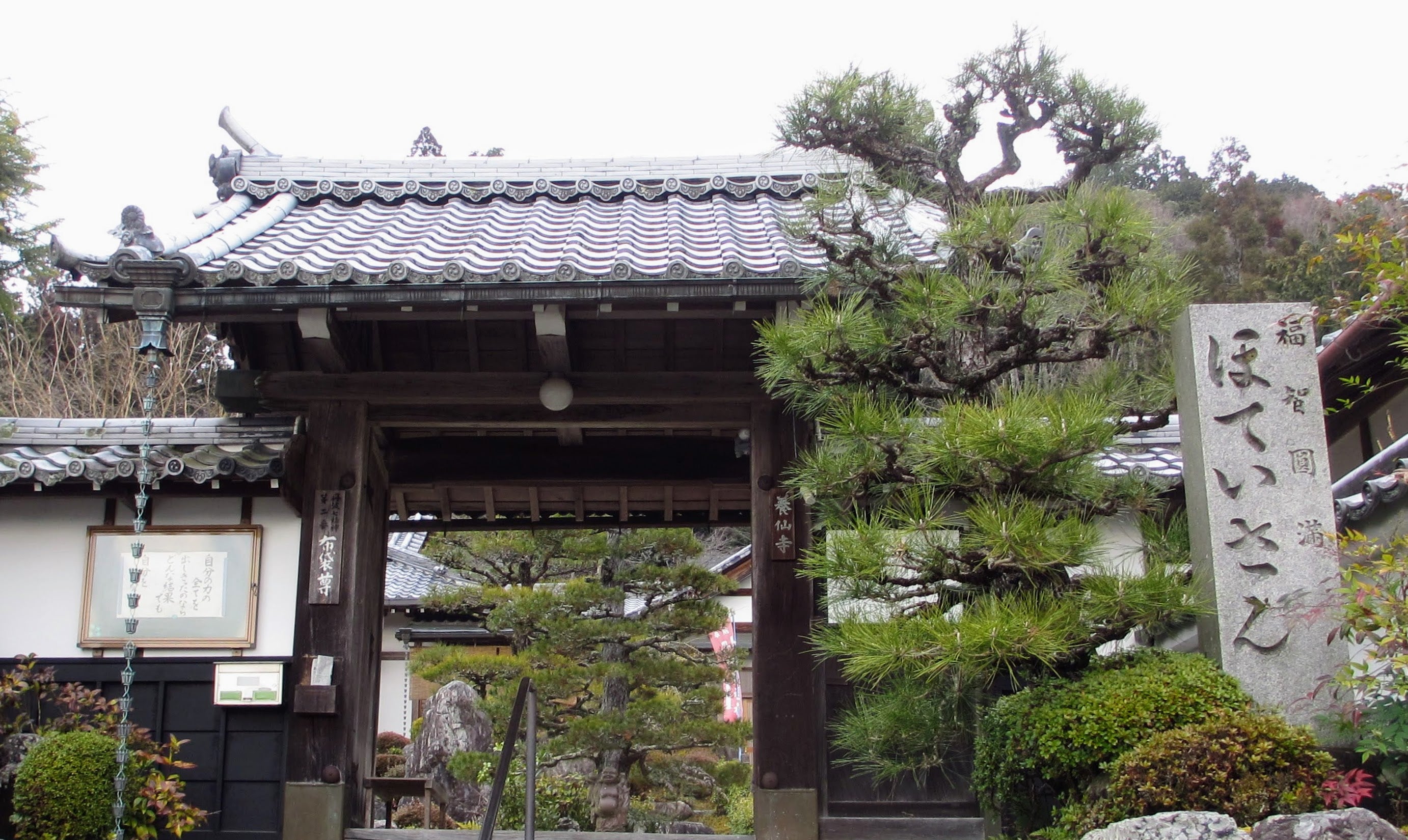 養仙寺_2枚目