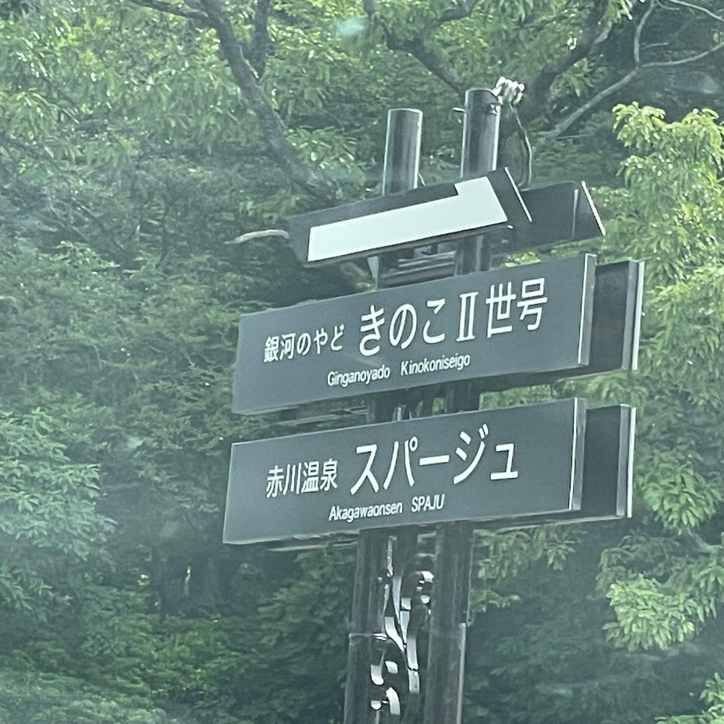 ペンションきの子二世号