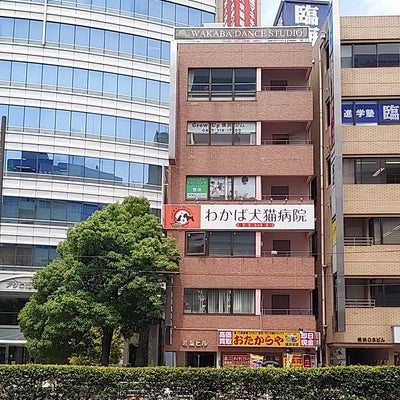 2022/08/01に投稿された、わかば犬猫病院〜横浜西口駅前〜の外観の写真