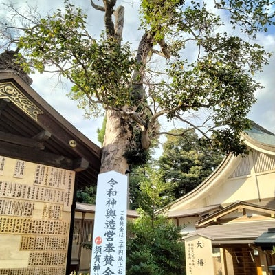 2022/09/18にmaffinmanが投稿した、須賀神社の店内の様子の写真