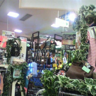 2013/07/08に投稿された、夢大陸　長岡店の店内の様子の写真