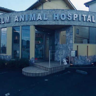 2023/01/03にwvlsh347が投稿した、エルム動物病院　草津院のその他の写真