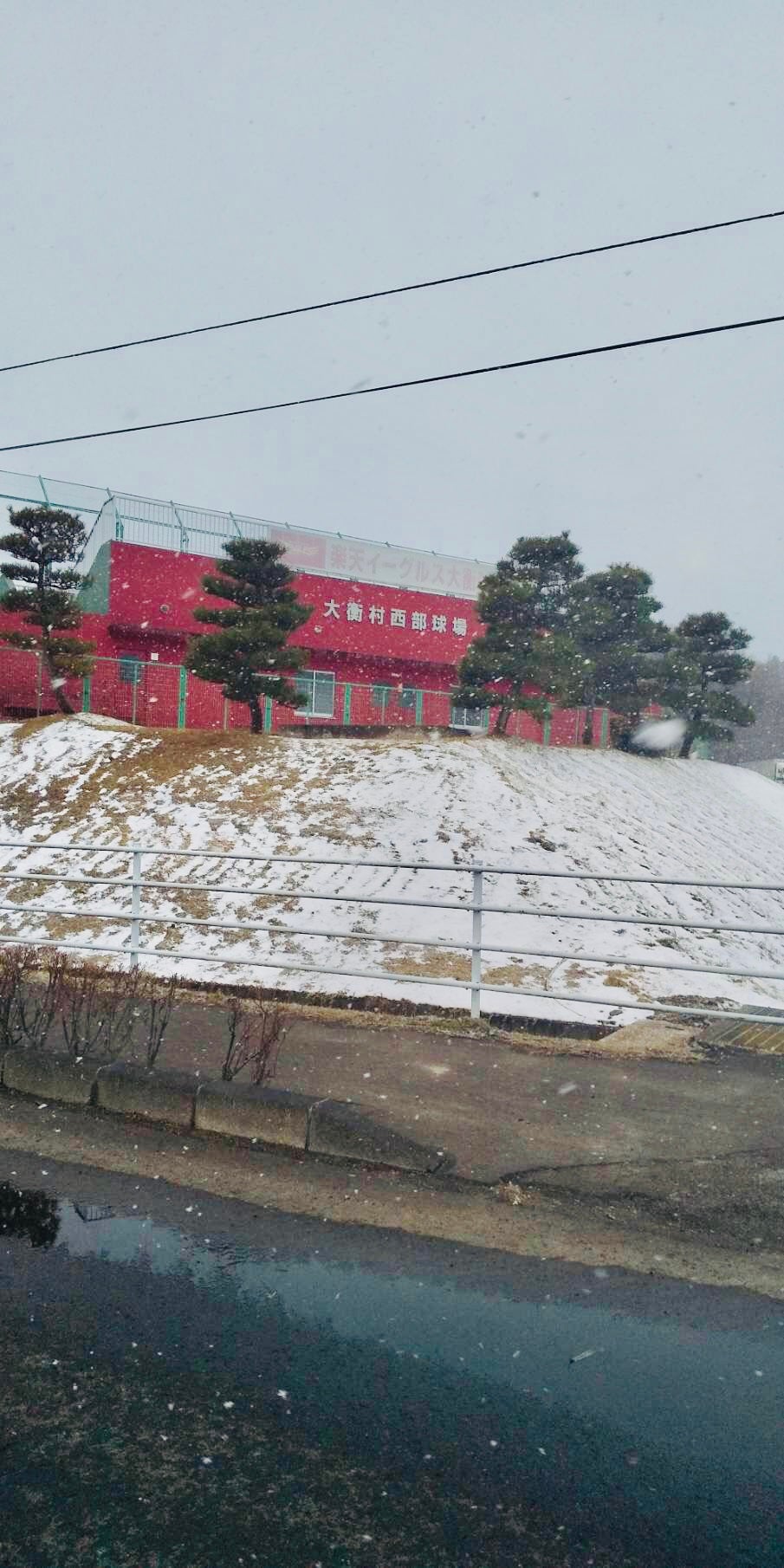 大衡村　西部球場_1枚目