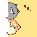 ぴぴごん