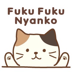 rokkii
