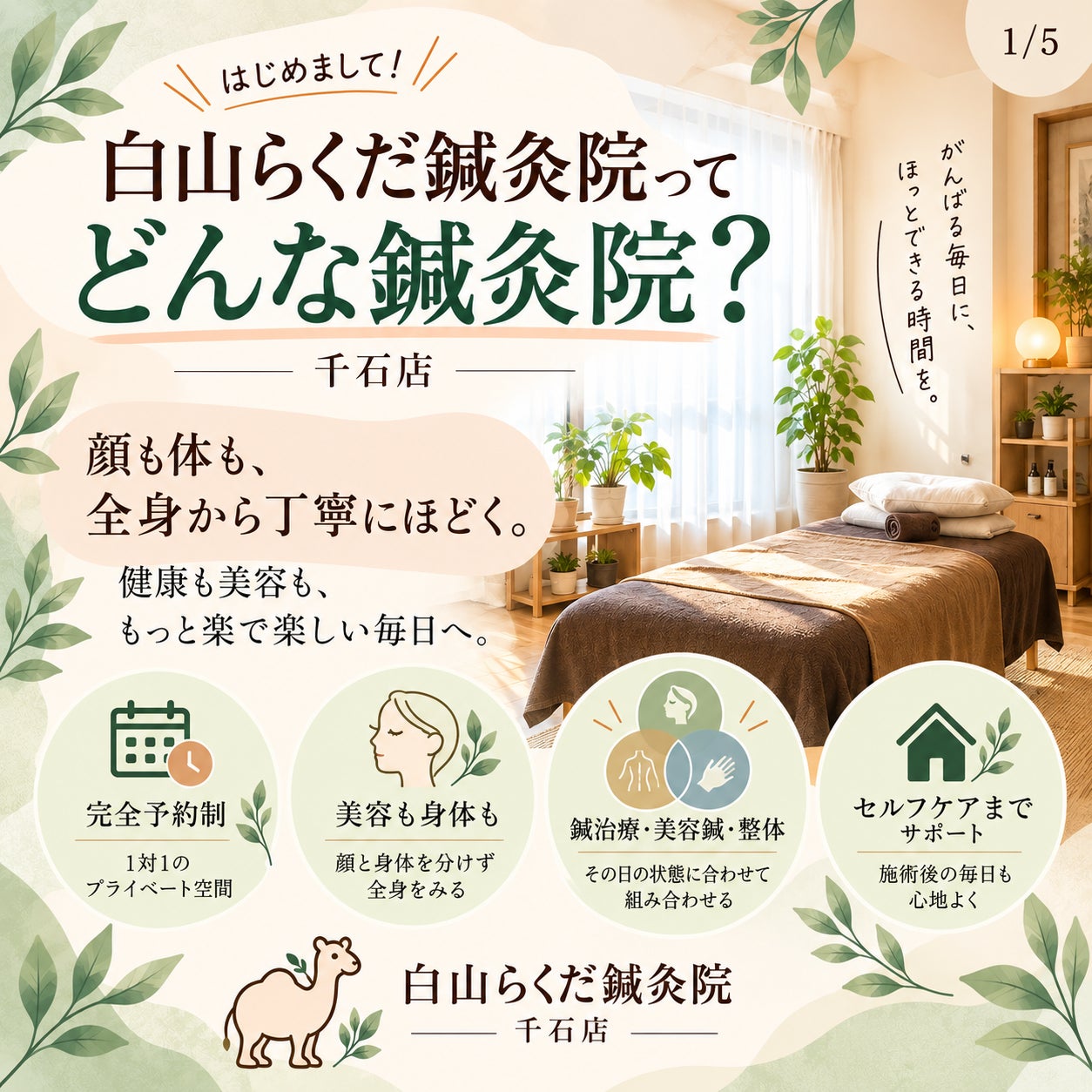 白山らくだ鍼灸院 千石店は、顔も体も全身から丁寧にみる鍼灸院です。の写真