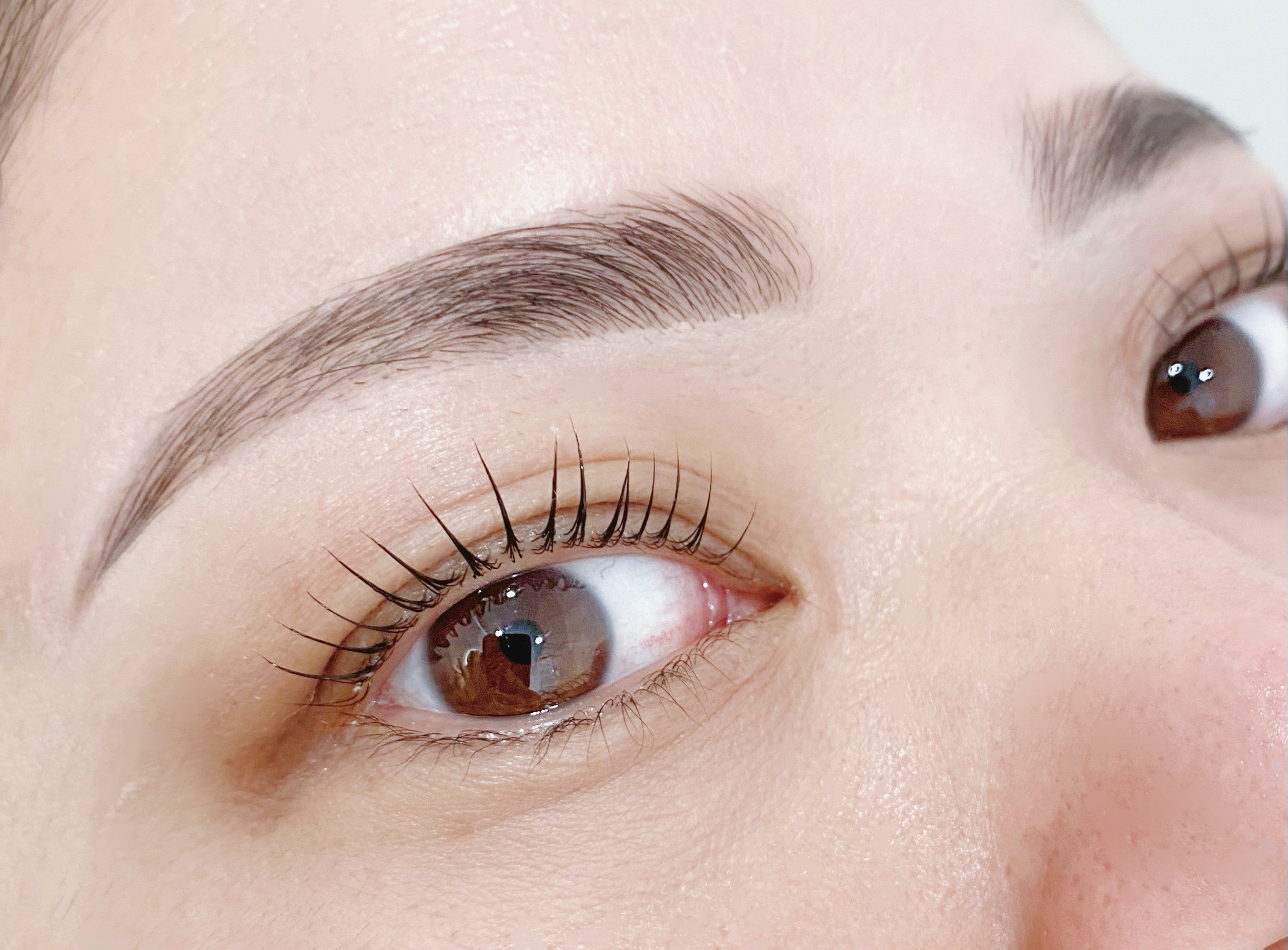eyelashsalon HAL 本店の《眉毛・まつげパーマset》まゆげwax＋眉パーマ×パリジェンヌ　の写真