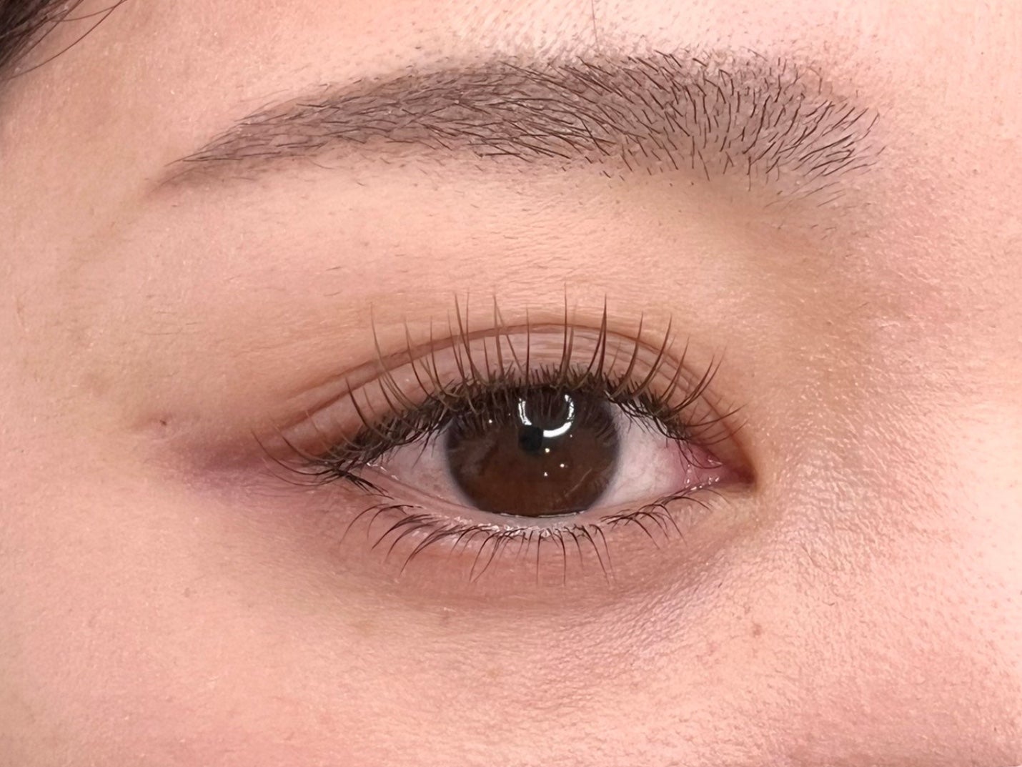 eyelashsalon HAL 本店の《マツエク》ブラウンニュアンスカラー120本◇エクステの写真