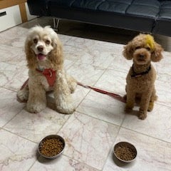 ペットサロンWoof  _2枚目