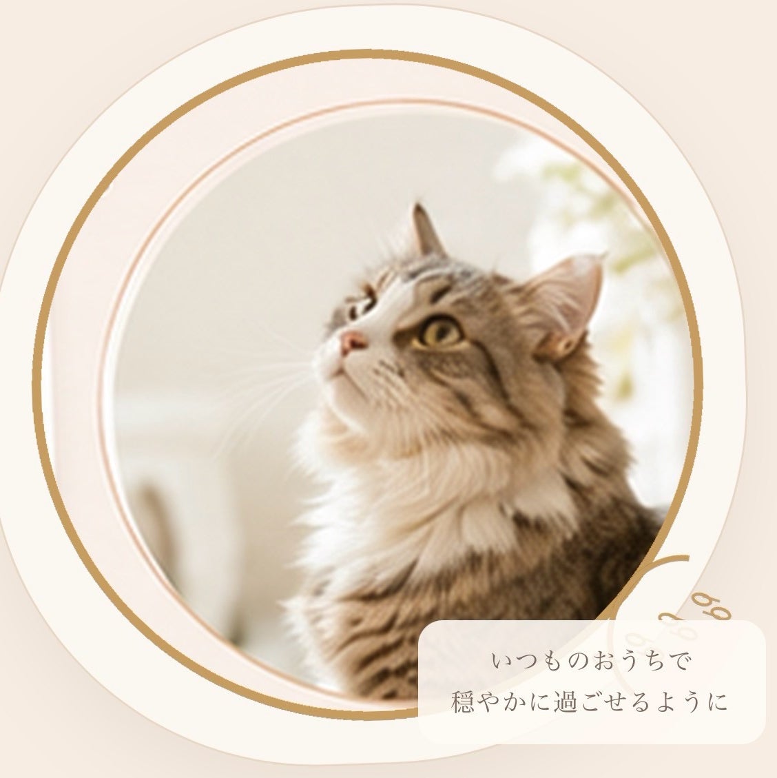 キャットシッターMakky