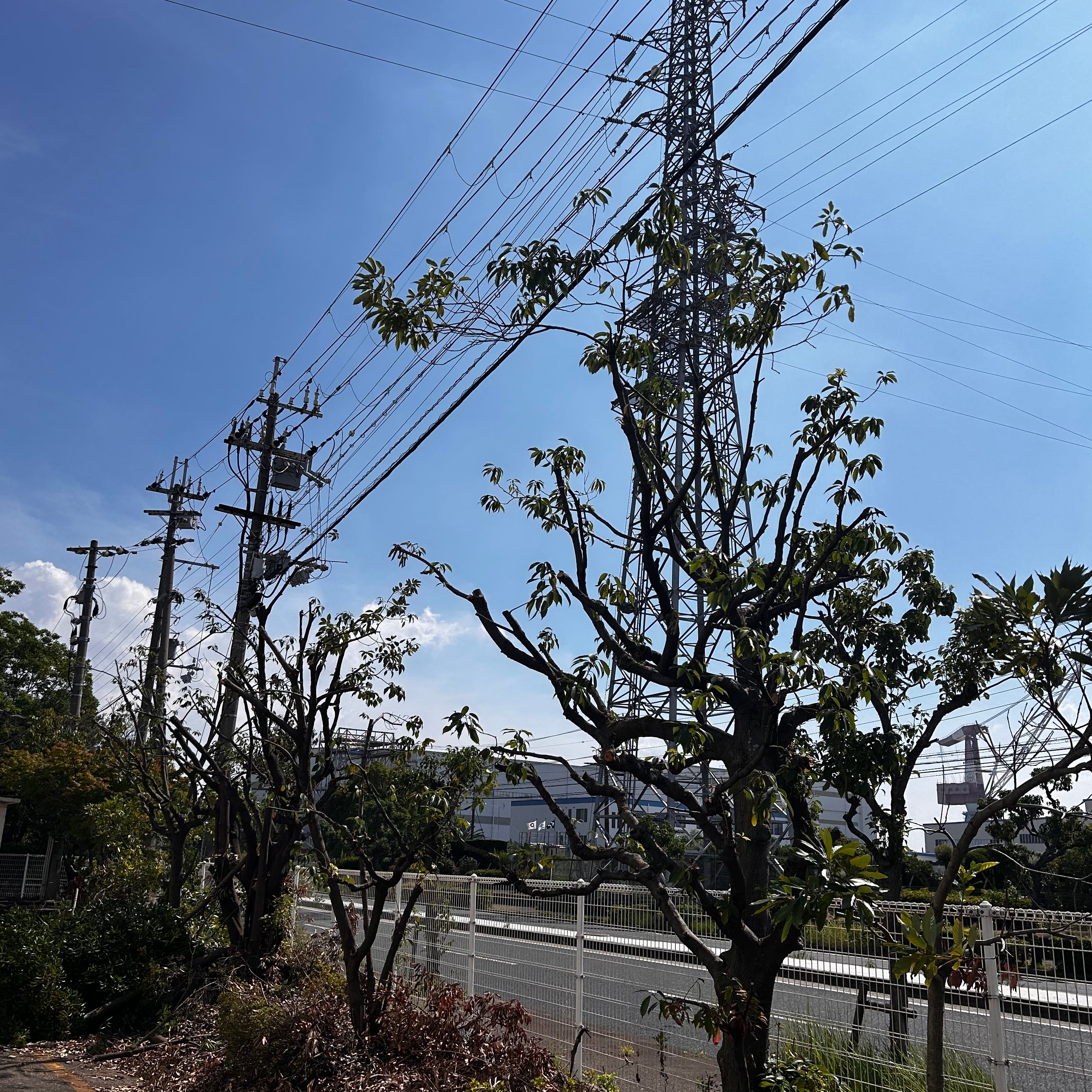 便利屋ユアーズ_1枚目