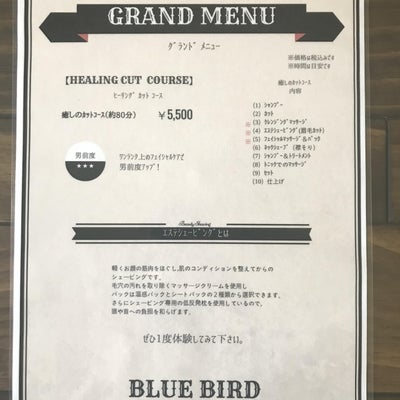 BLUE BIRDのヒーリングカットコースの写真