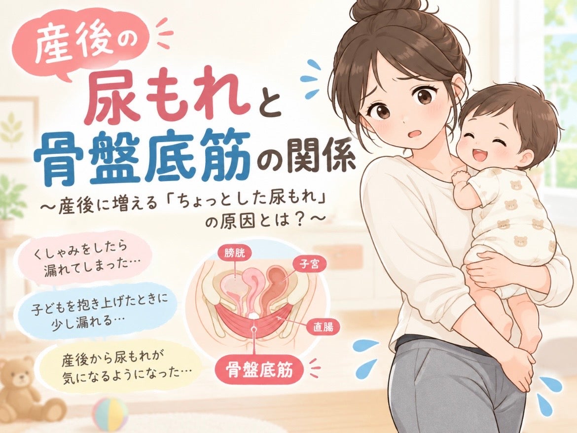 産後の尿もれと骨盤底筋の関係　産後に増える「ちょっとした尿もれ」の原因とは？の写真