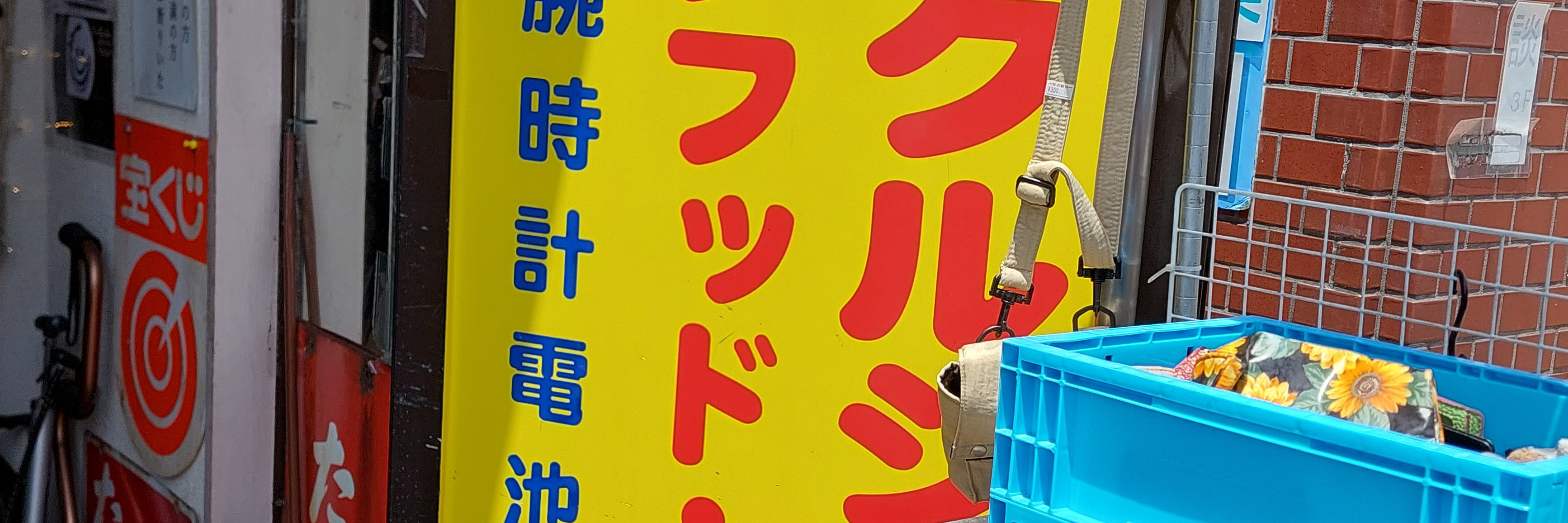 ロビンフッド、モジー_2枚目