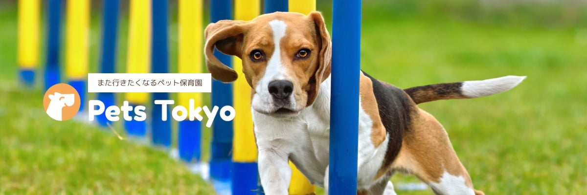 Pets Tokyo 長原店