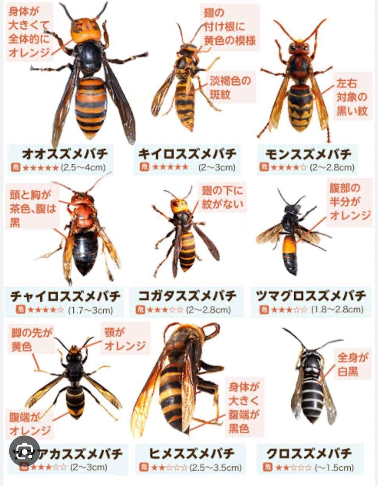 明朗で分かりやすい料金体系の写真