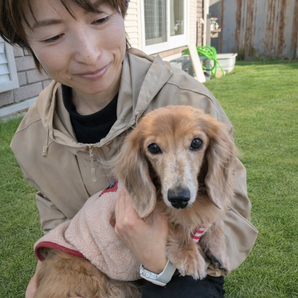 うちのモモ_2枚目