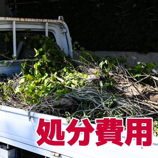 榮倉theGARDEN 瑞穂営業所 -お庭のお手入れ専門店-の【樹木伐採】処分費用　　4,400円〜 （税込）の写真