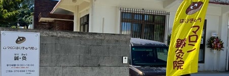 マロンはりきゅう院