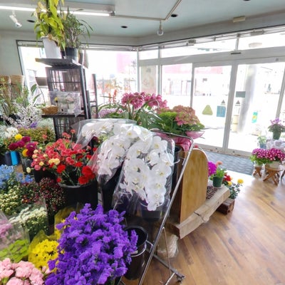 2019/06/13に花パレットが投稿した、店内の様子の写真