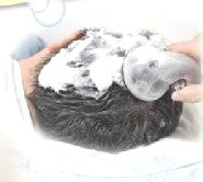 訪問理容　リノレアのシャンプーのみ（ブロー付き）の写真