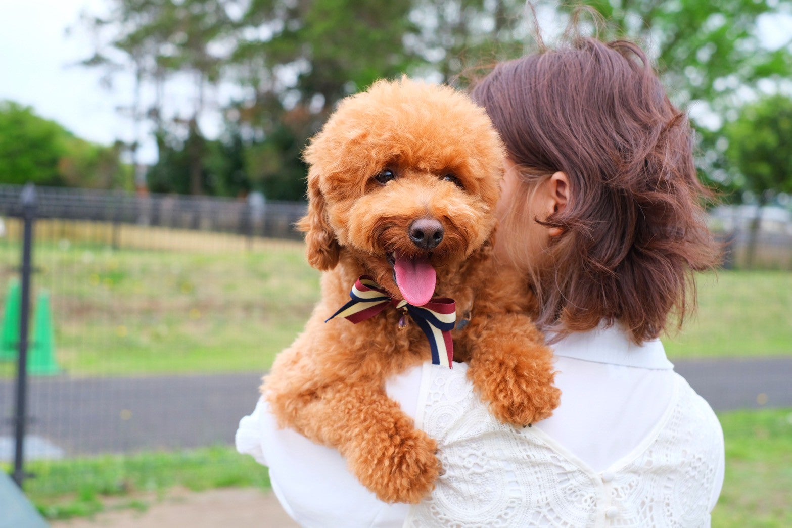 Dog in boots 〜ドッグサロン〜の基本のお世話＋お散歩代行の写真
