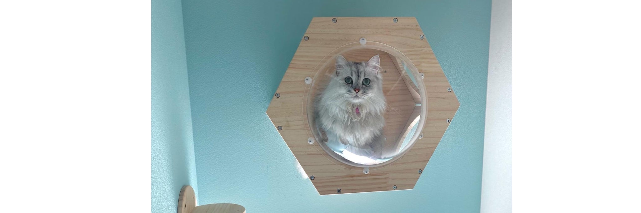 PetHOTEL mimi