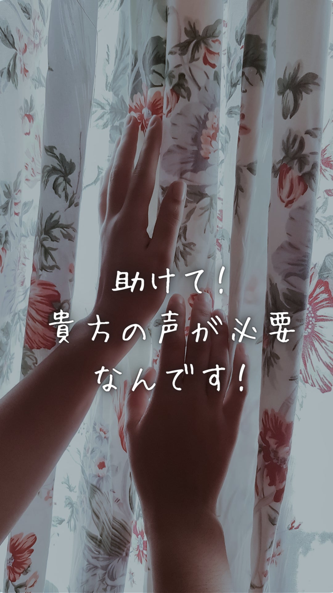 たすけてくださーいの写真