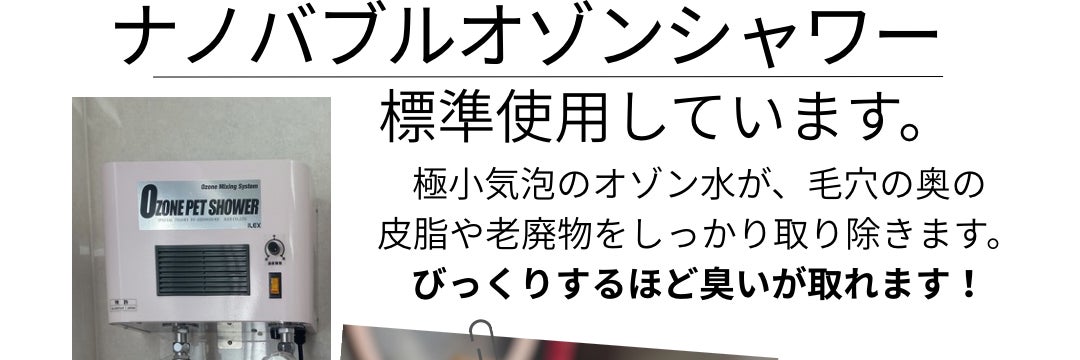 ドッグケアサロンクープー（トリミングサロン）