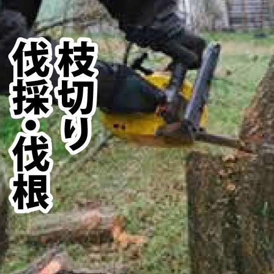 雑草木バスター「お庭番」の伐採・枝切り・伐根の写真