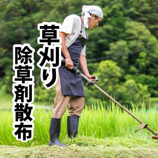 雑草木バスター「お庭番」の草刈りの写真