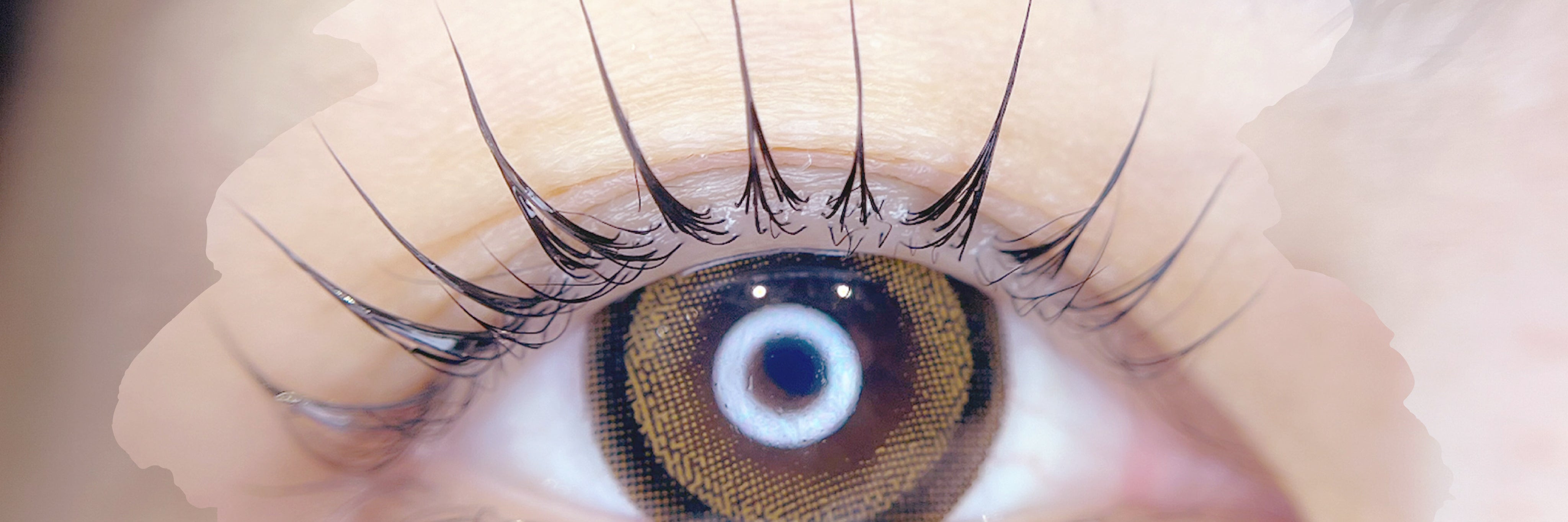 Elise eyelash&brow