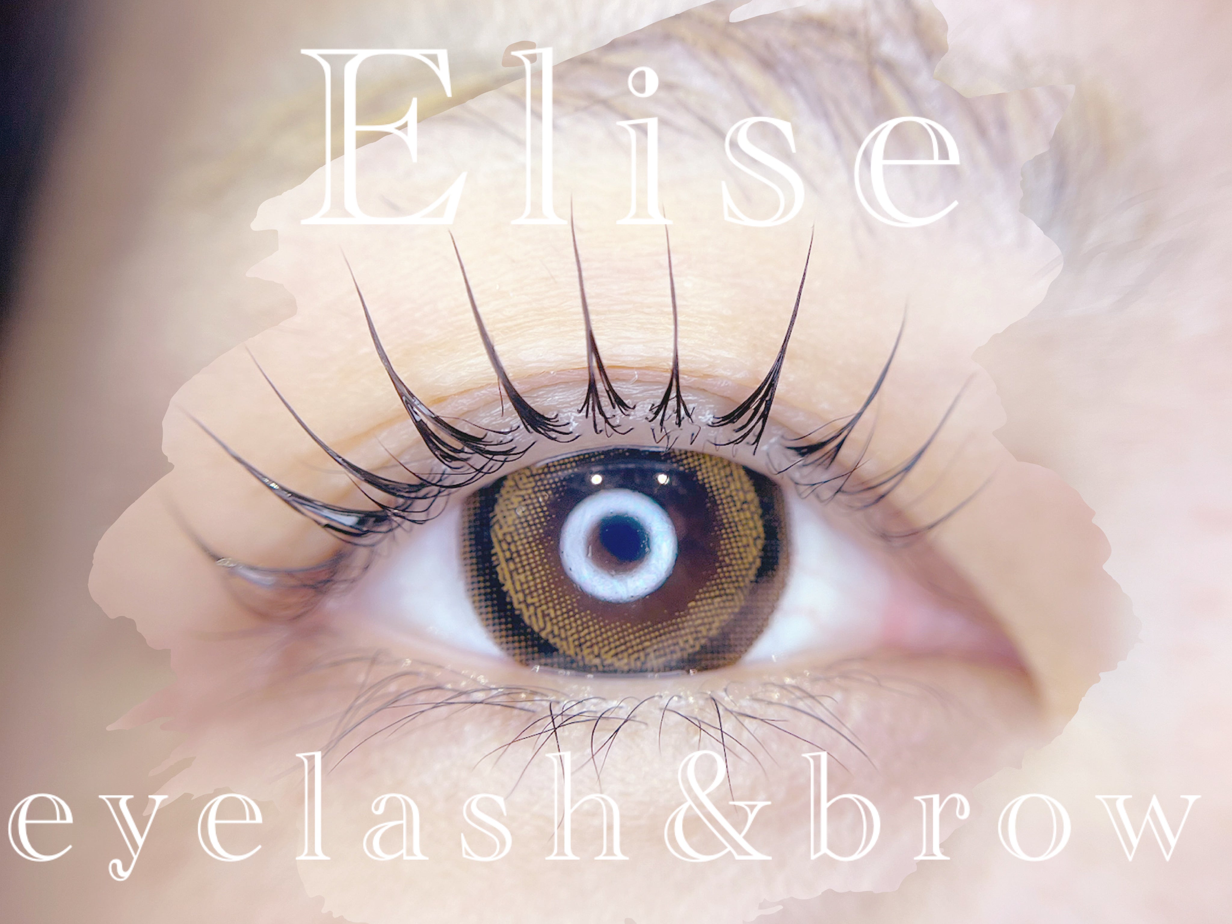 Elise eyelash&amp;brow_1枚目