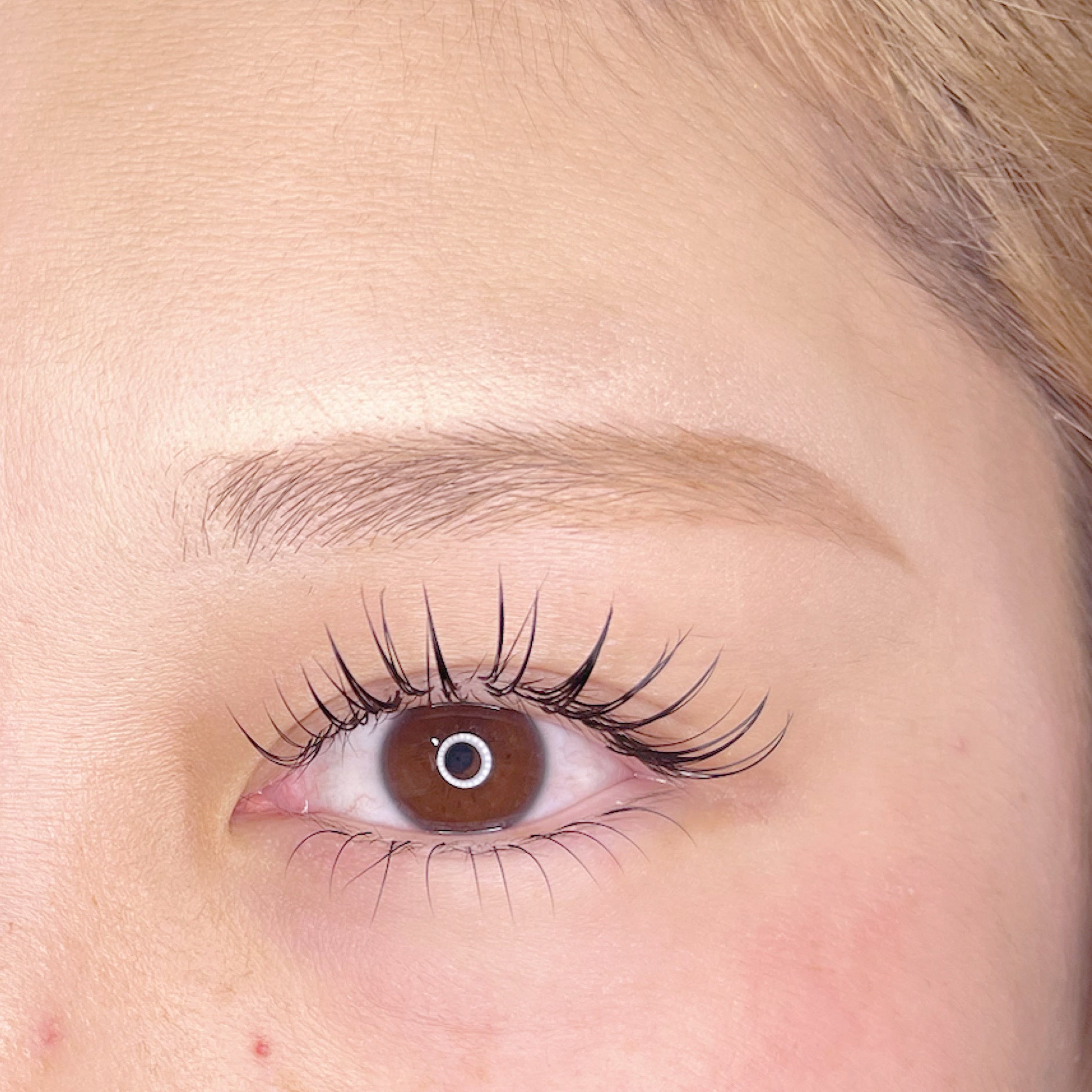 Elise eyelash&browの【垢抜けNo.1】アイブロウWax＆眉カラーの写真