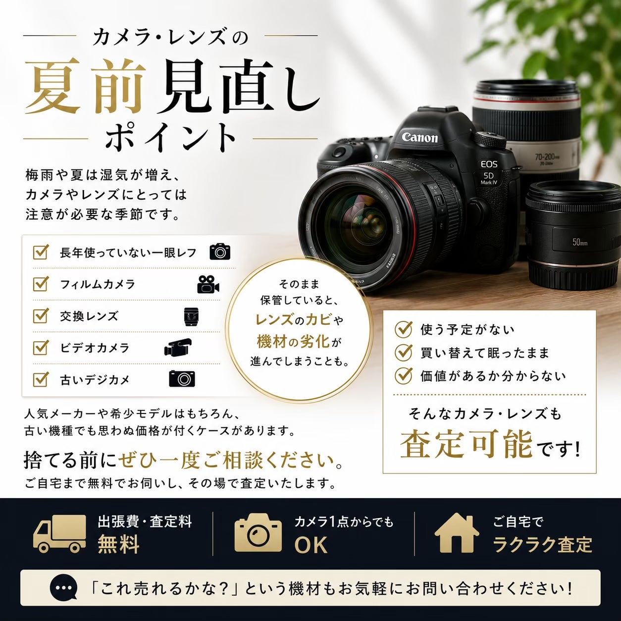 📷 カメラ・レンズ、夏前の見直しはお済みですか？の写真