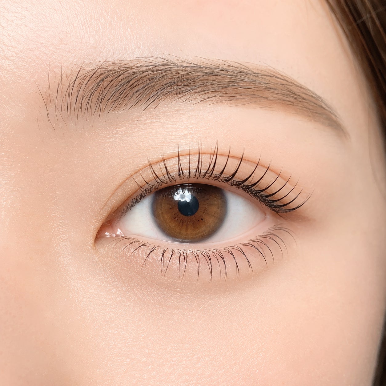 Beauty Salon RK飯田橋店のまつ毛パーマorパリジェンヌ　上下の写真
