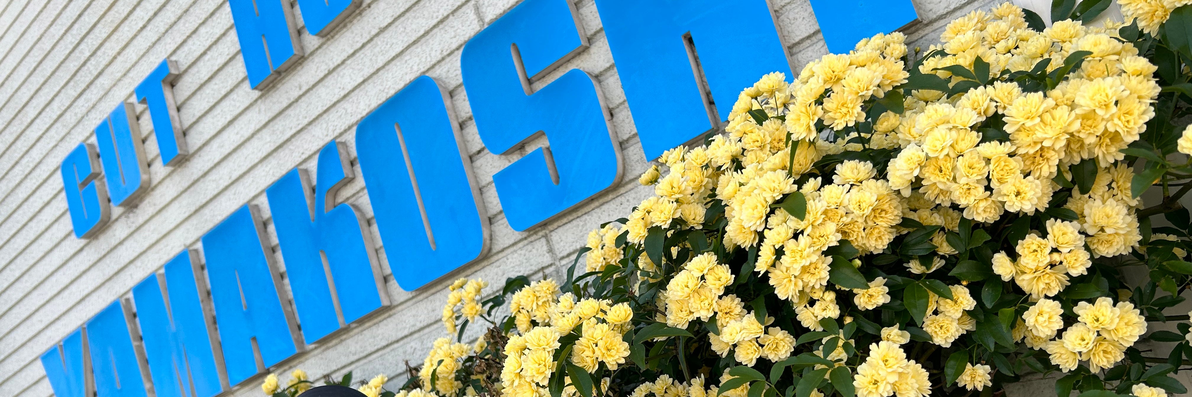  CUT  HOUSE  YAMAKOSHI