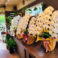 花国湘南台店の豪華輪数多めの３本立ち胡蝶蘭の写真