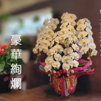 花国湘南台店の豪華絢爛　５本立ちの胡蝶蘭の写真