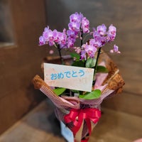 花国湘南台店のピンクの胡蝶蘭　お店のオープン祝にどうぞ！の写真