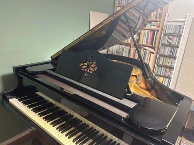 haru musicの体験レッスンの写真