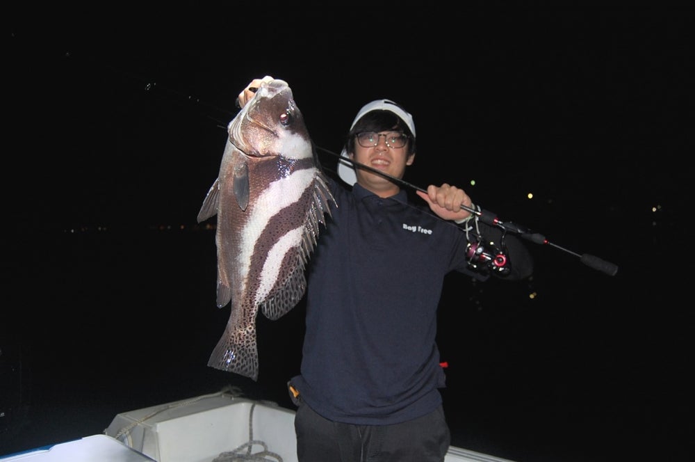名古屋港シーバスガイド　BayFree(ベイフリー)の今年もあの子がやって来る。夏の夜はコショウダイの写真