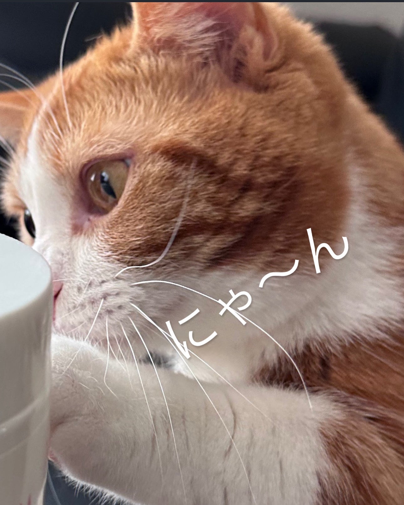 注意事項の写真